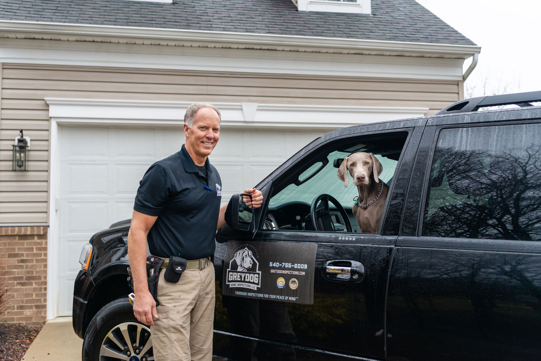 Klaus Weimaraner Dog